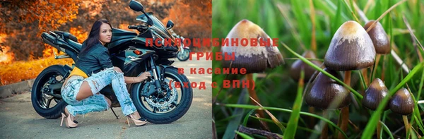 прущие крисы Абаза